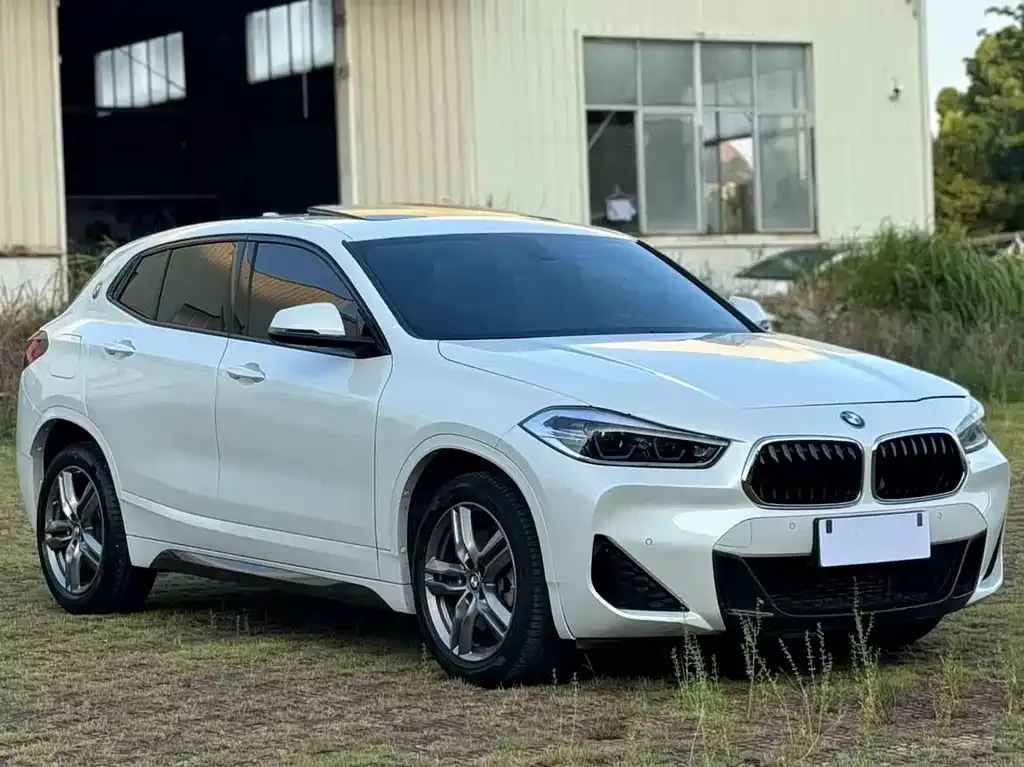 BMW X2 — фото 1