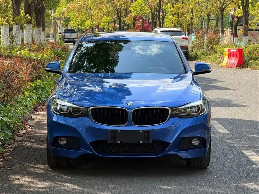 BMW 3 Series GT — фото 9