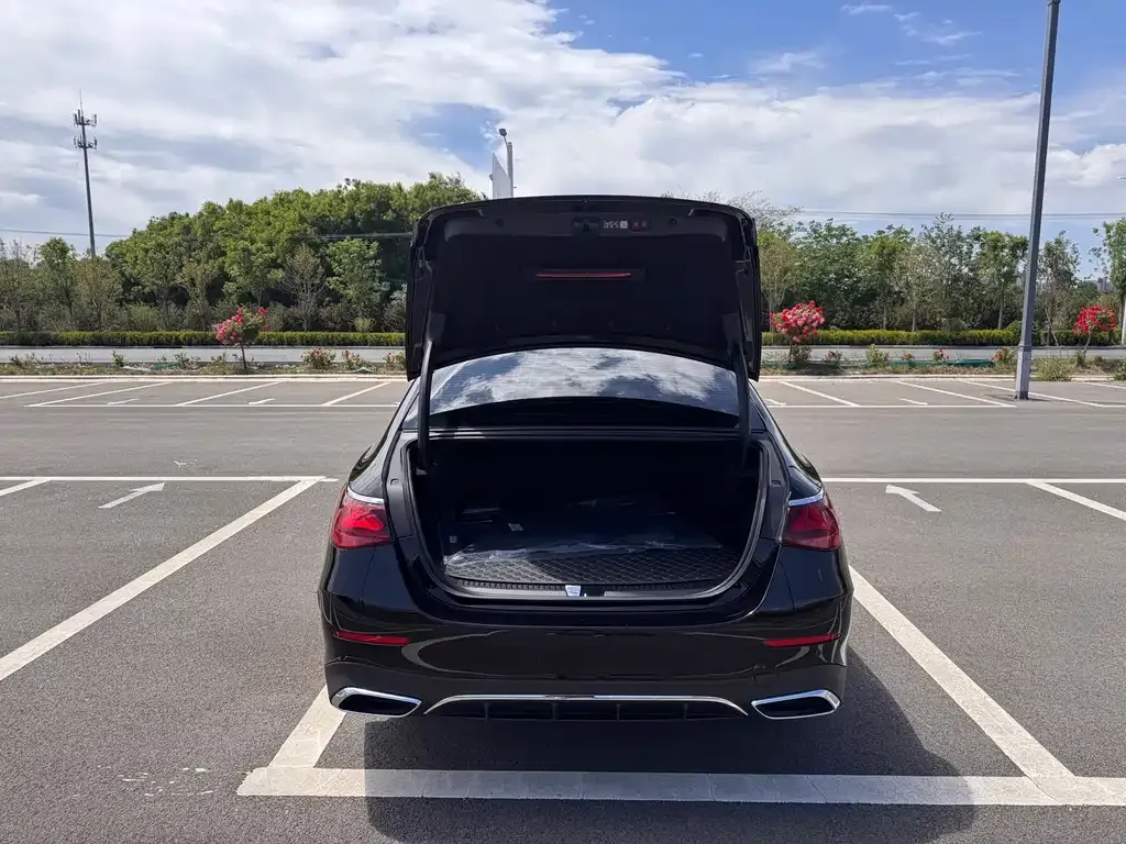 Mercedes-Benz E-Class New Energy — фото 4