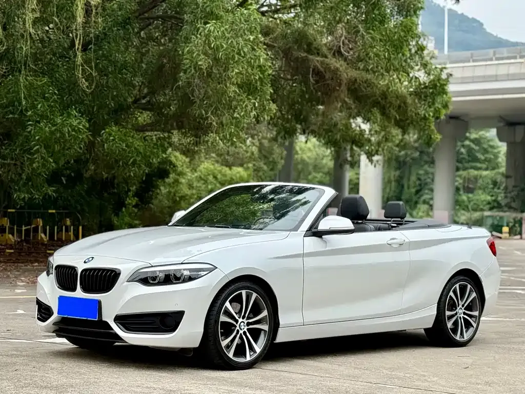 BMW 2 Series (Import) — фото 1