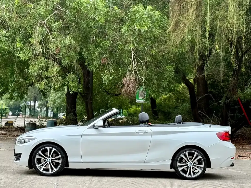 BMW 2 Series (Import) — фото 10