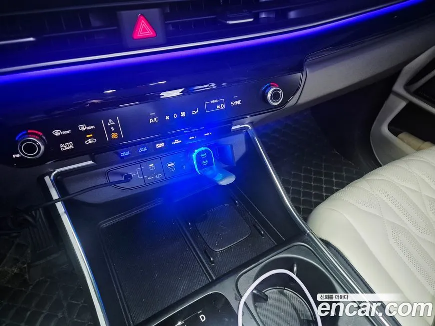 Kia Carnival — фото 10