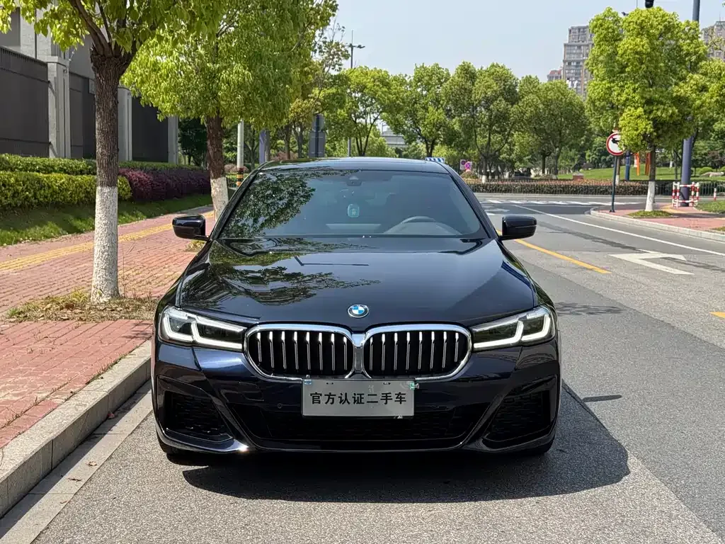 BMW 5 Series (Import) — фото 8