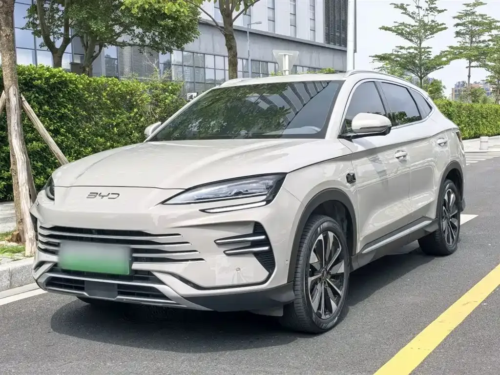 BYD PLUS New Energy — фото 1