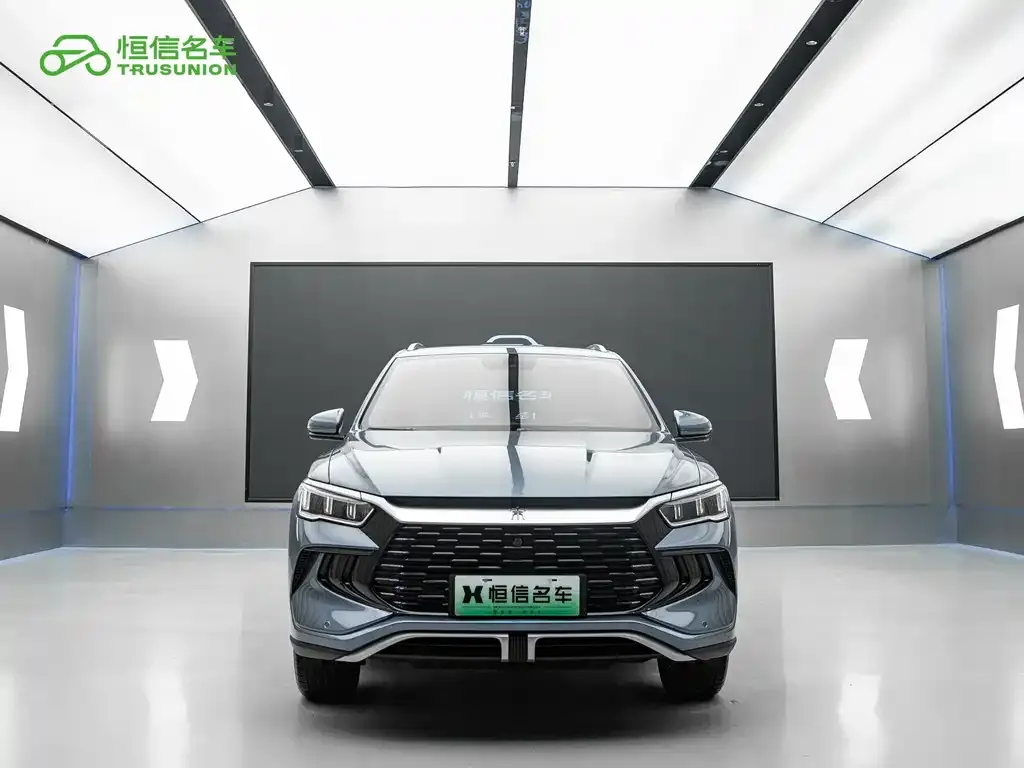 BYD Pro New Energy — фото 2