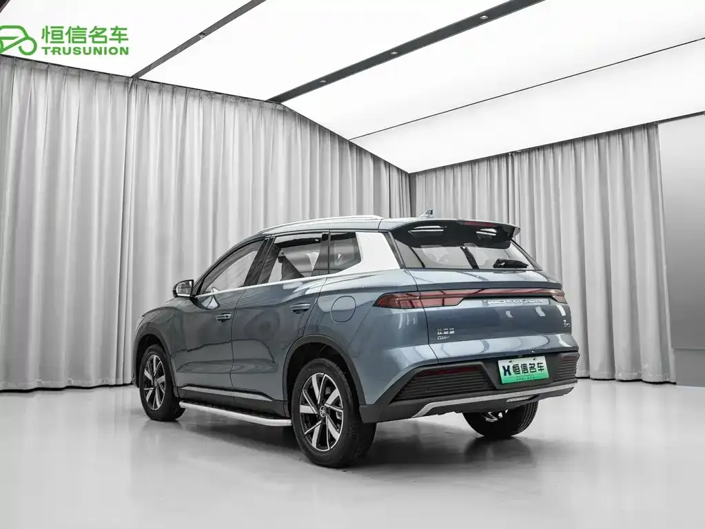 BYD Pro New Energy — фото 9