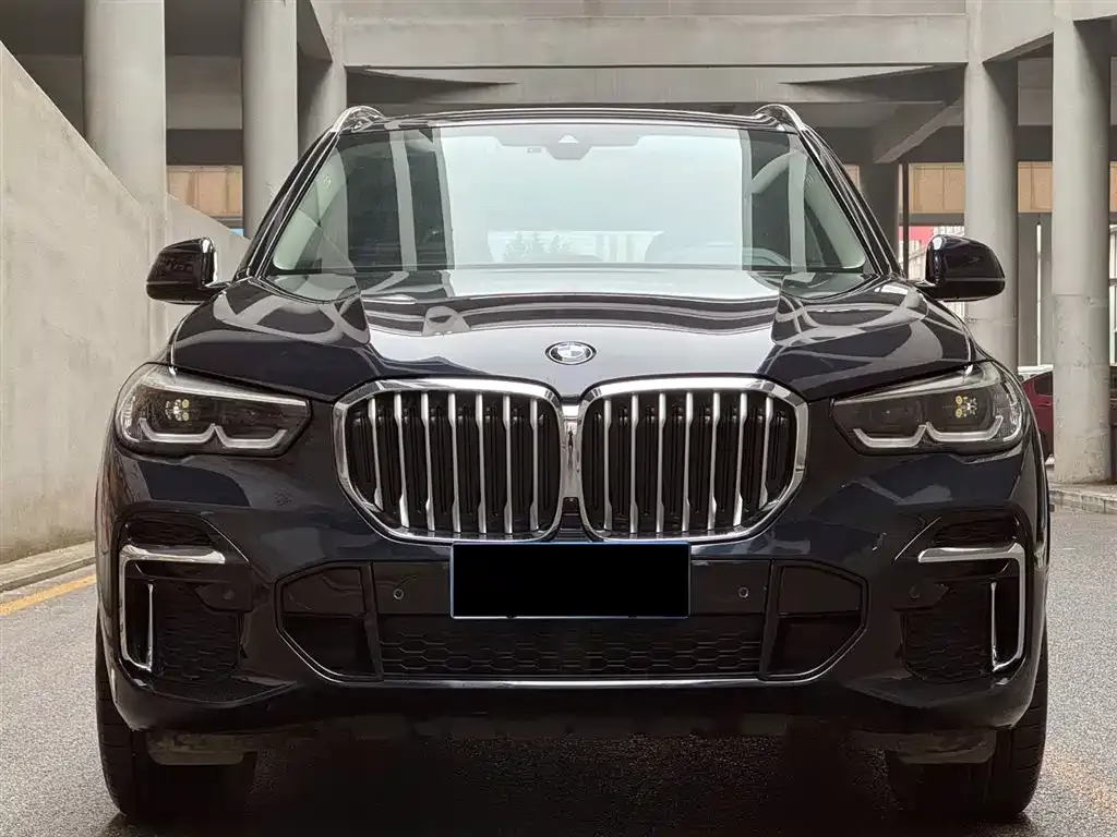 BMW X5 — фото 10