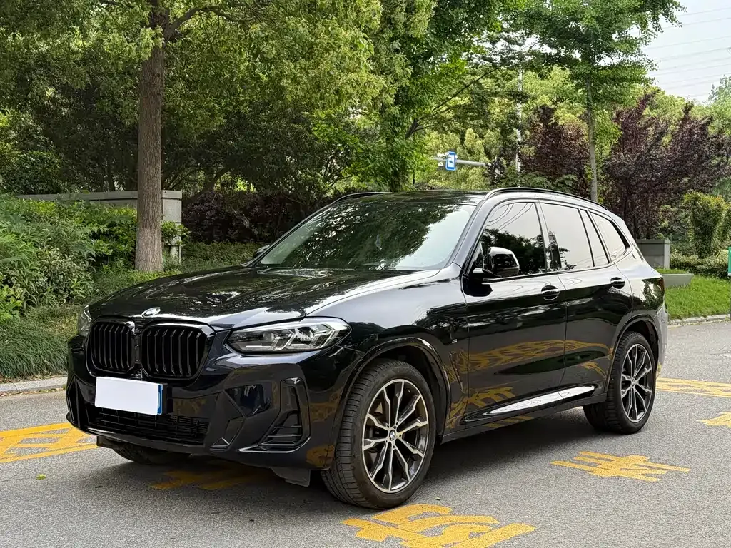 BMW X3 — фото 1