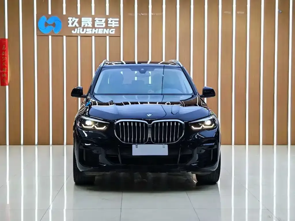 BMW X5 — фото 10