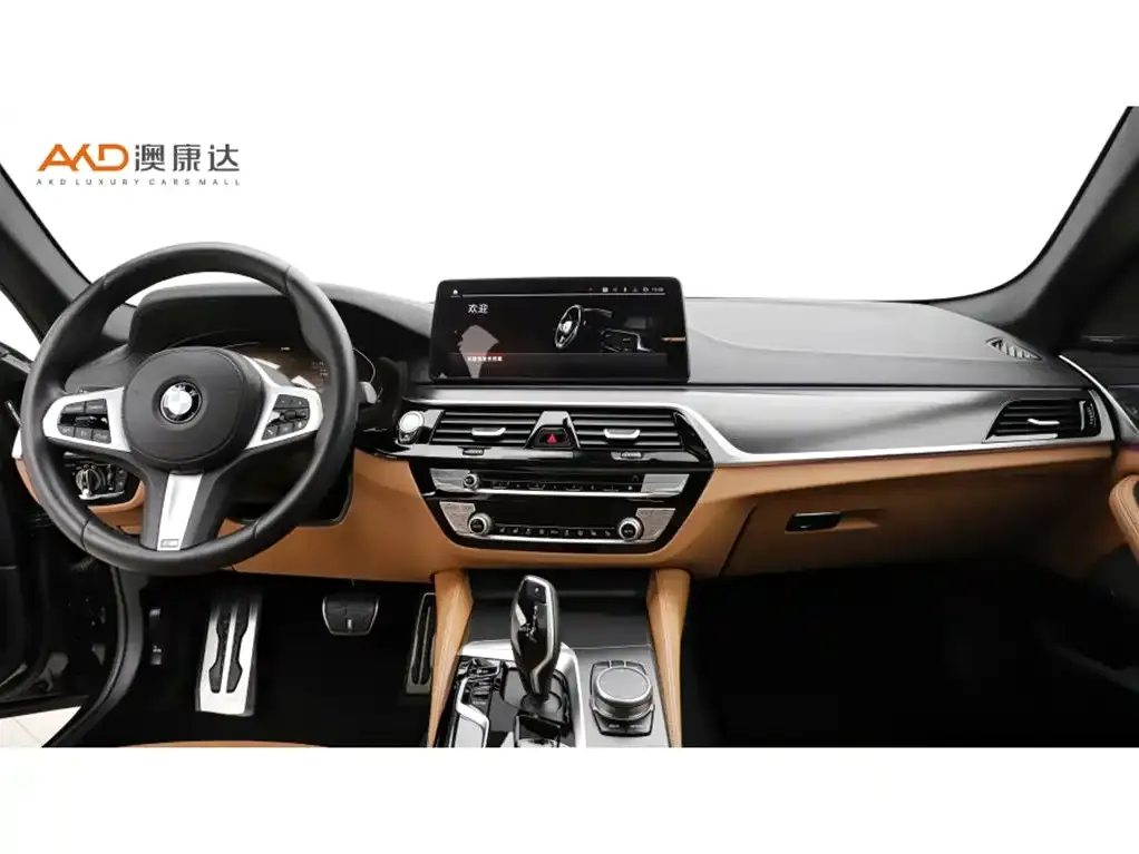 BMW 5 Series (Import) — фото 4