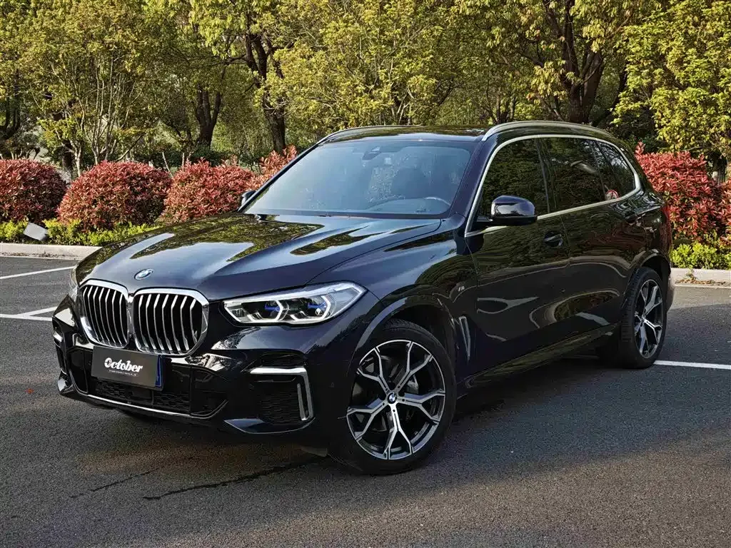 BMW X5 — фото 1