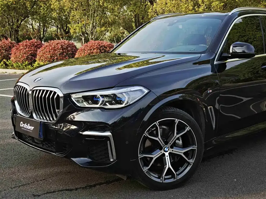 BMW X5 — фото 3
