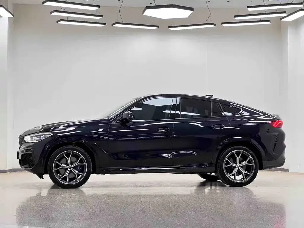 BMW X6 — фото 6