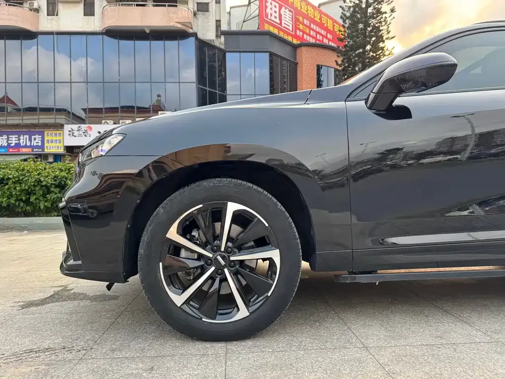 Wey VV7 GT — фото 10