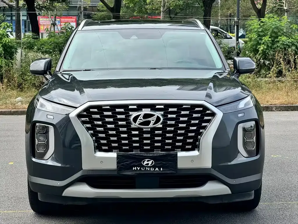 Hyundai Palisade — фото 8
