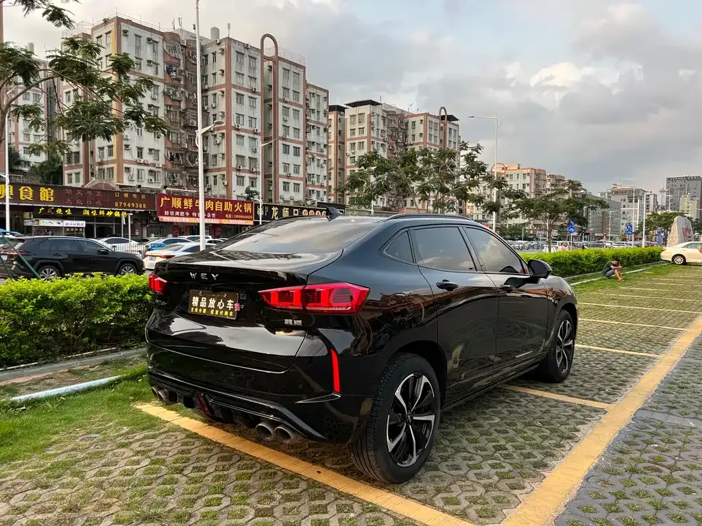 Wey VV7 GT — фото 6