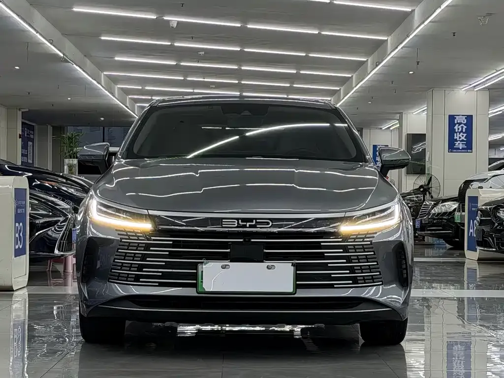 BYD Destroyer 05 — фото 10