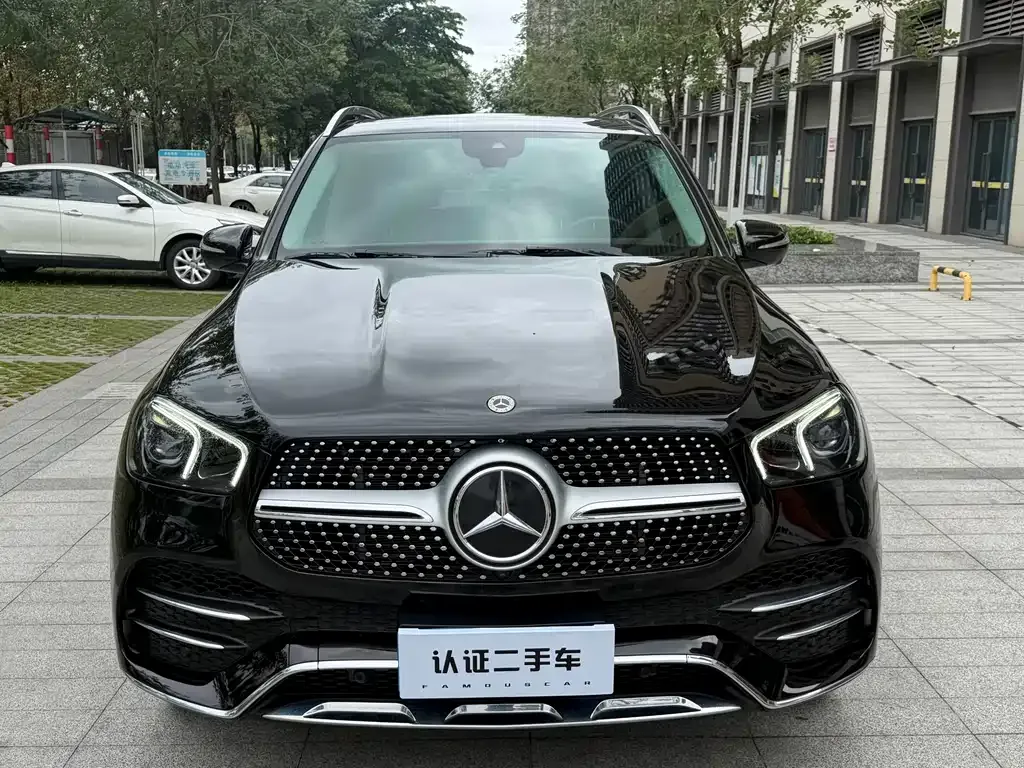 Mercedes-Benz 奔驰GLE(进口) — фото 10
