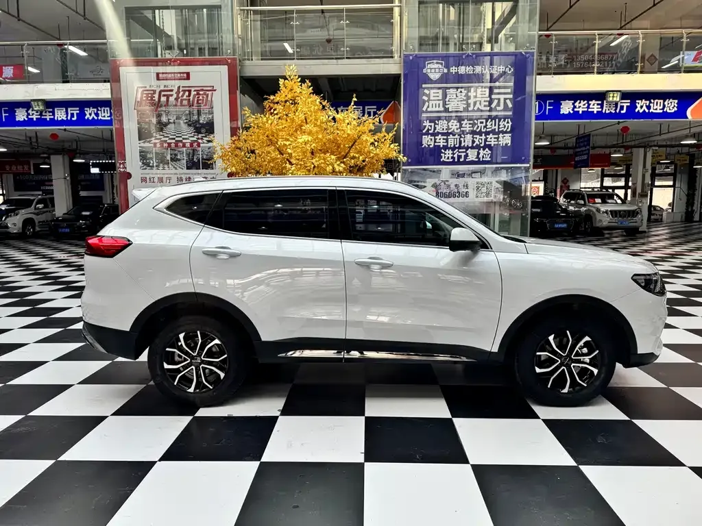 Haval H6 — фото 5