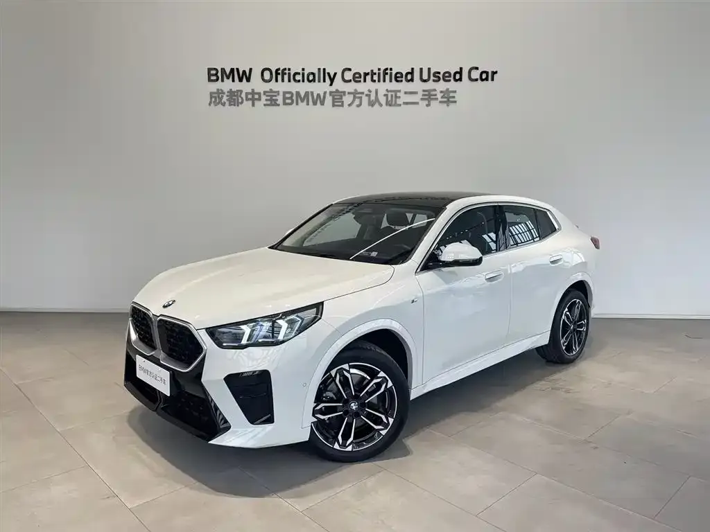BMW X2 (Import) — фото 1