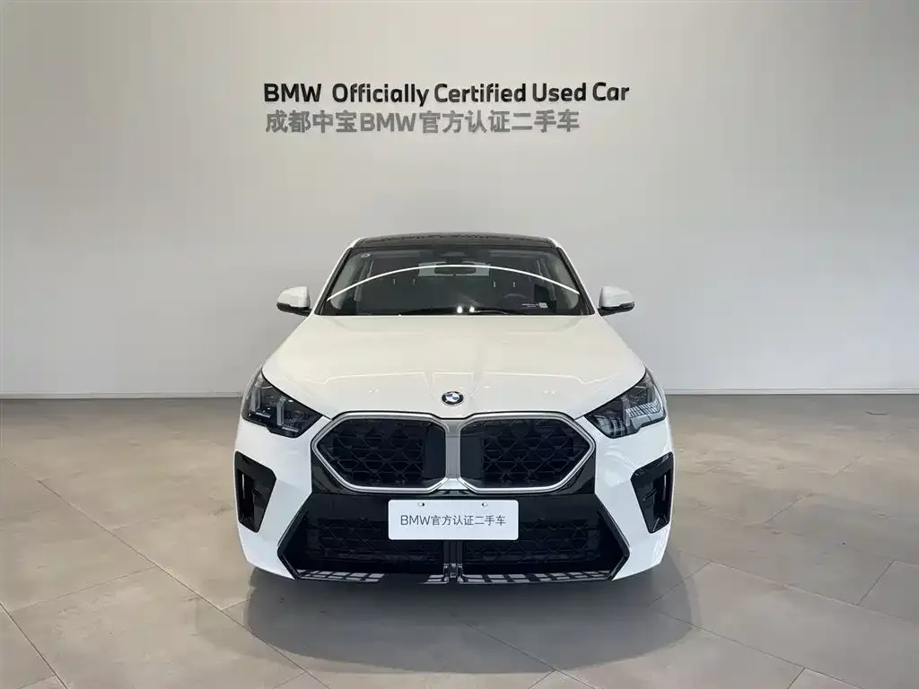 BMW X2 (Import) — фото 5