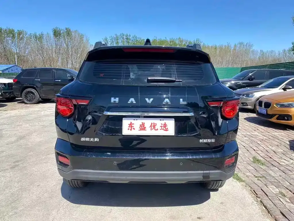 Haval H7 (Big Dog Plus) — фото 9