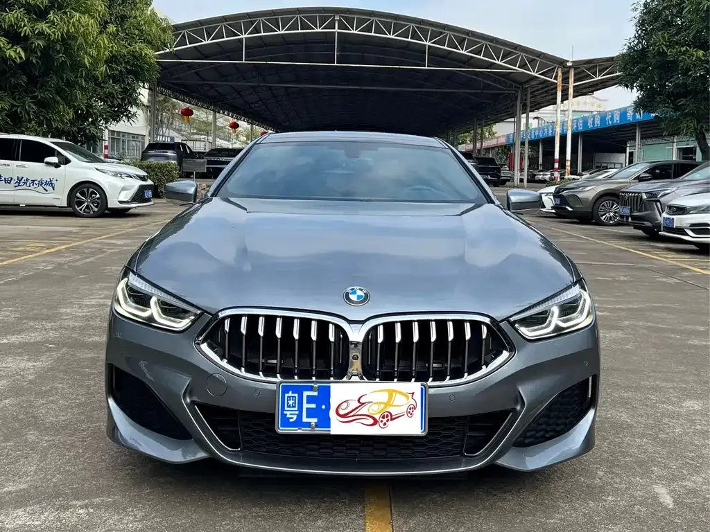 BMW 8 Series — фото 5
