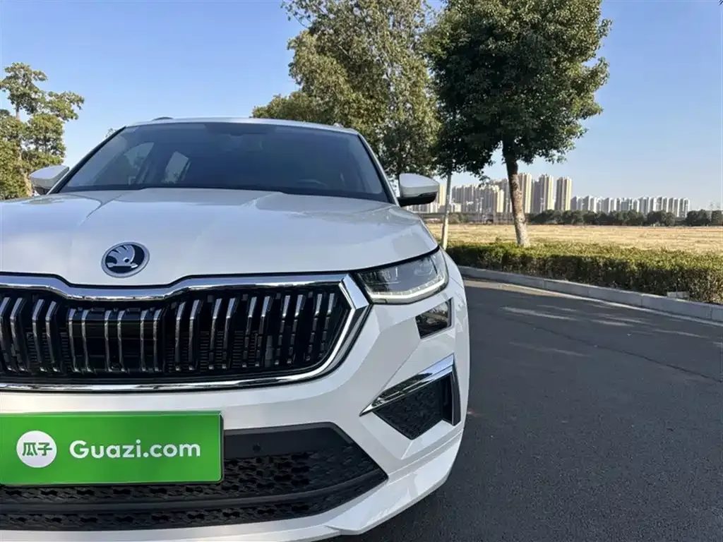 Skoda Kodiaq — фото 5