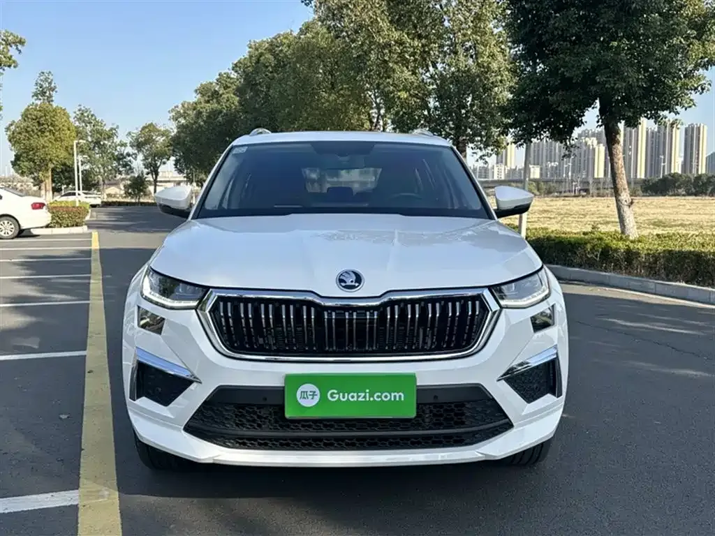 Skoda Kodiaq — фото 6