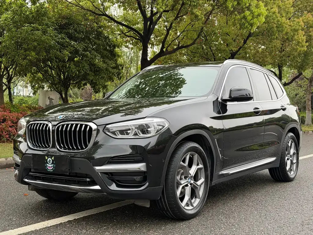 BMW X3 — фото 1