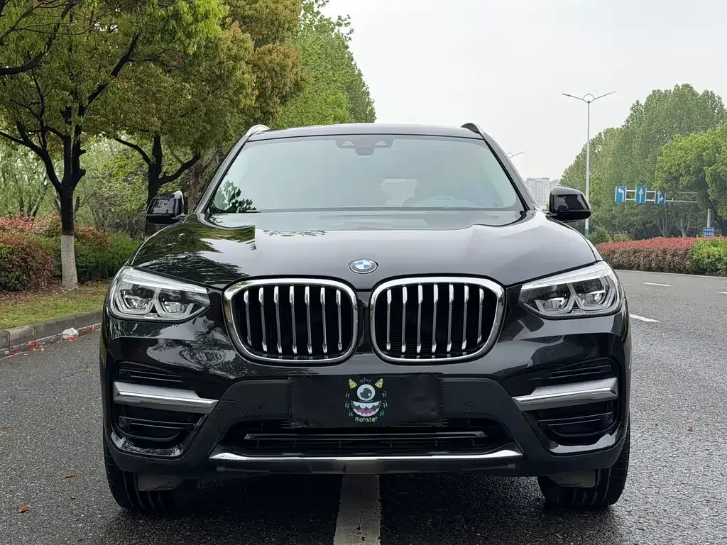 BMW X3 — фото 8