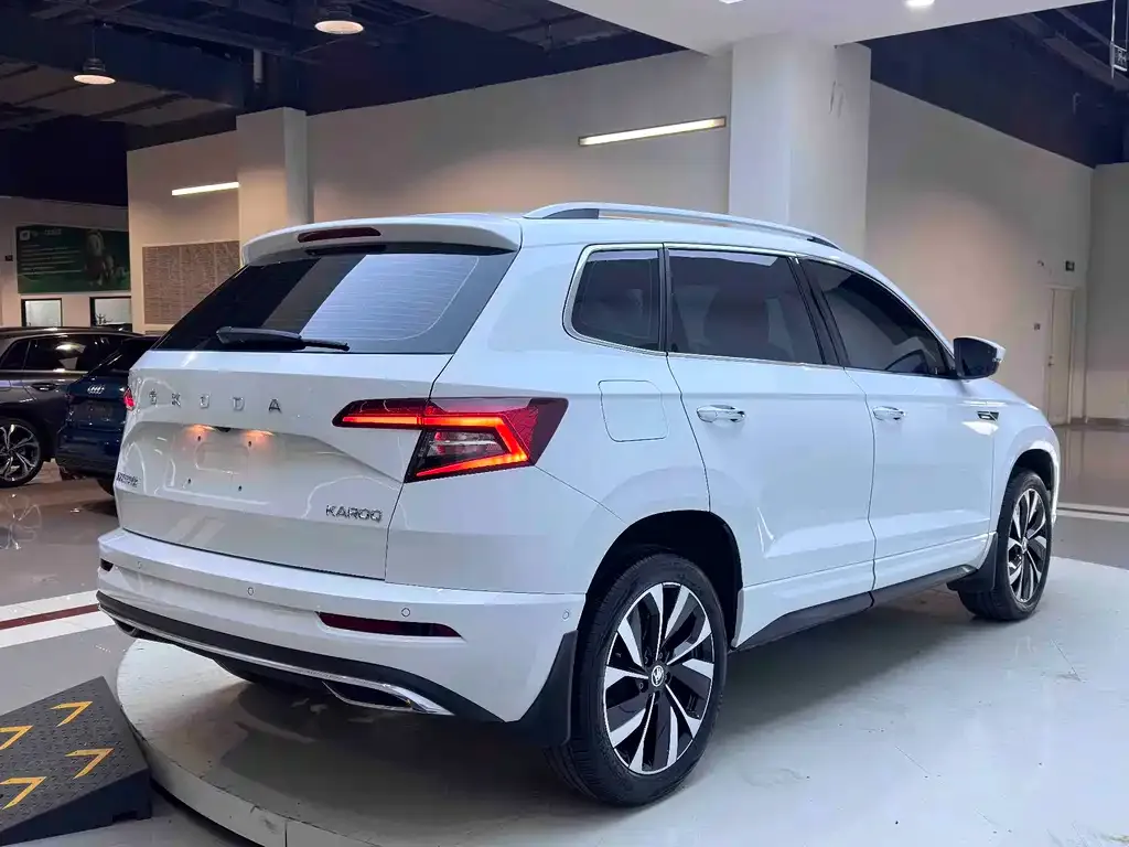 Skoda Karoq — фото 6