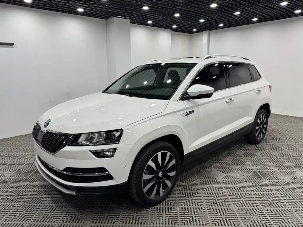 Skoda Karoq — фото 6