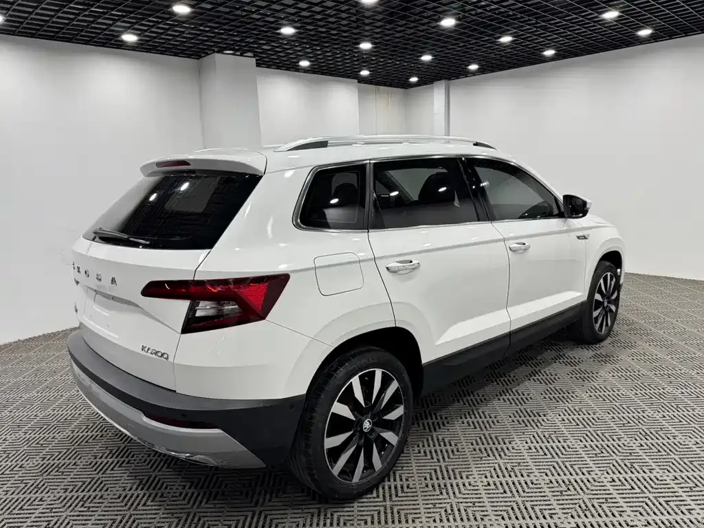 Skoda Karoq — фото 7