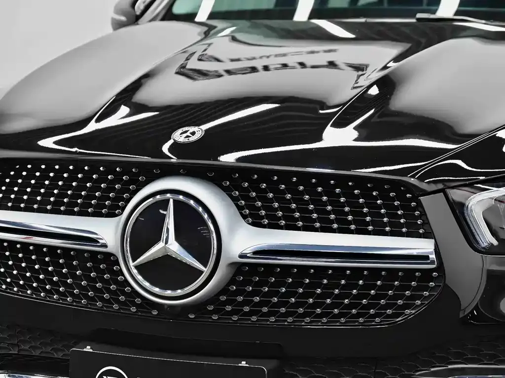 Mercedes-Benz 奔驰GLE(进口) — фото 4