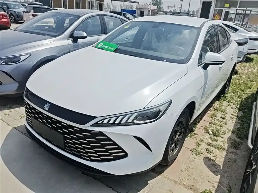 BYD Qin PLUS — фото 1