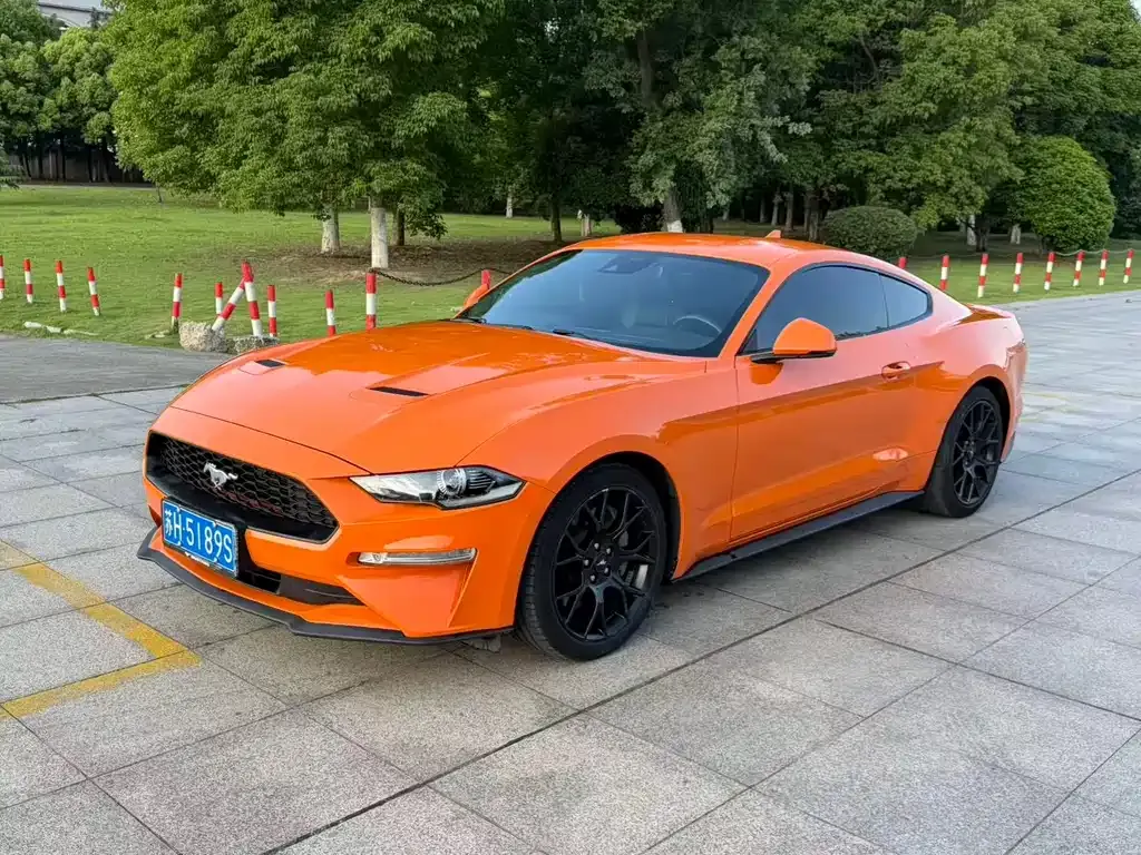 Ford Mustang — фото 1