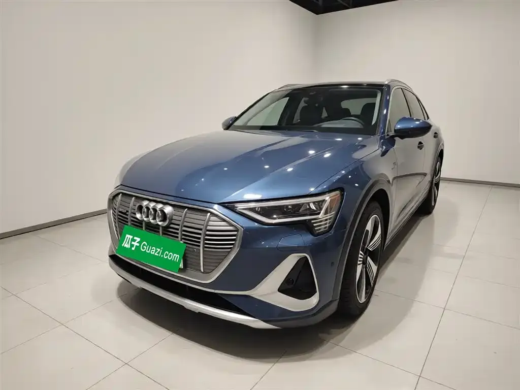 Audi e-tron (Import) — фото 1
