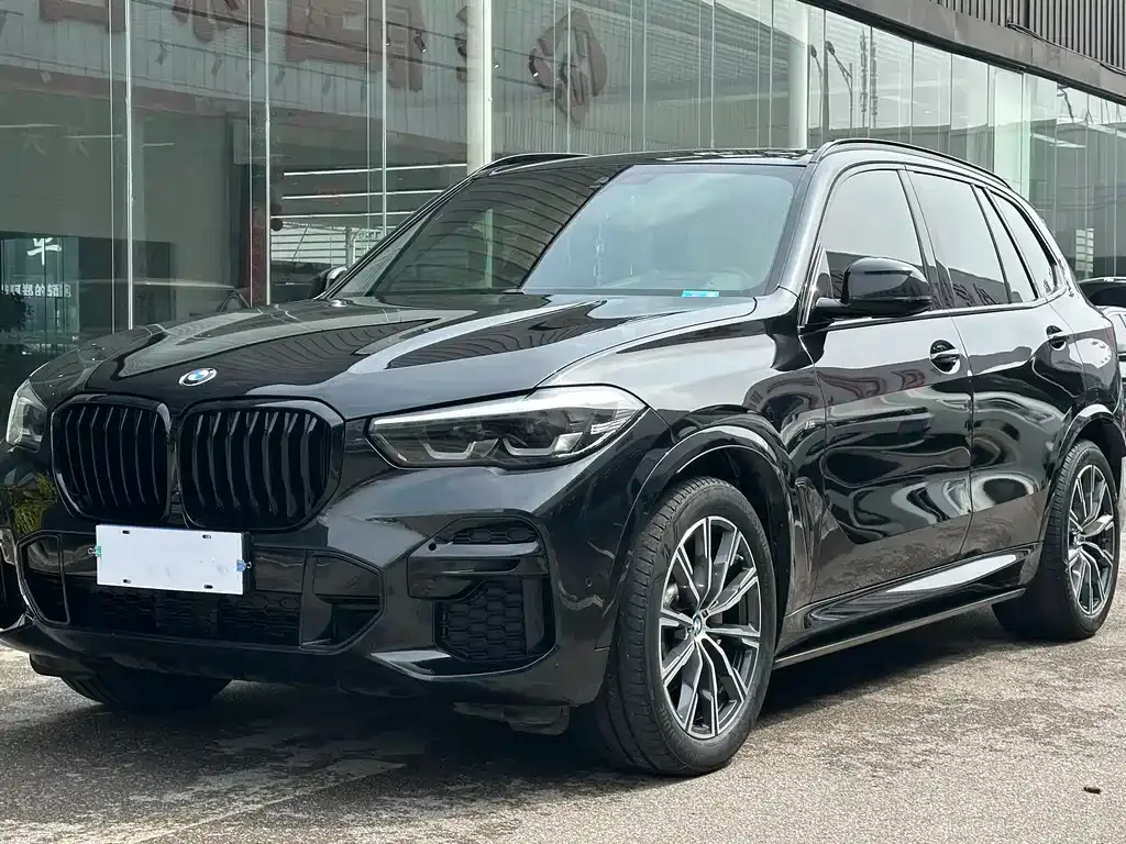 BMW X5 (Import) — фото 1