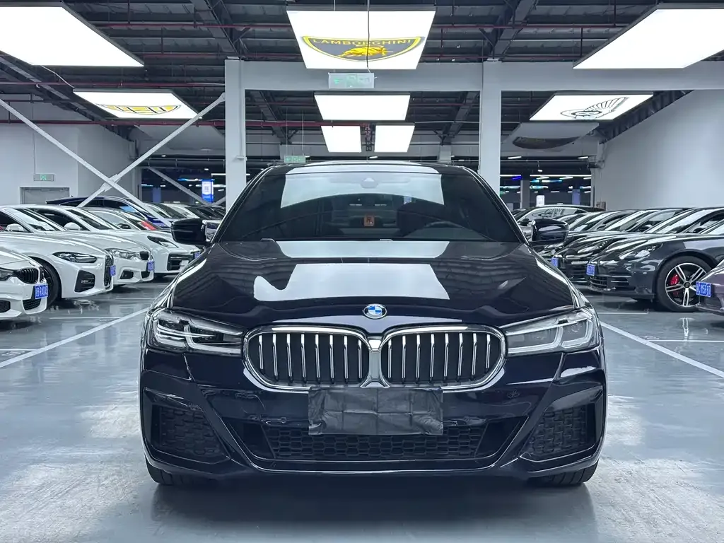 BMW 5 Series — фото 5