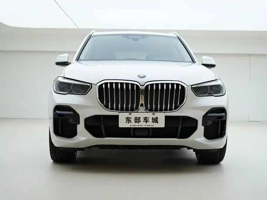 BMW X5 (Import) — фото 2