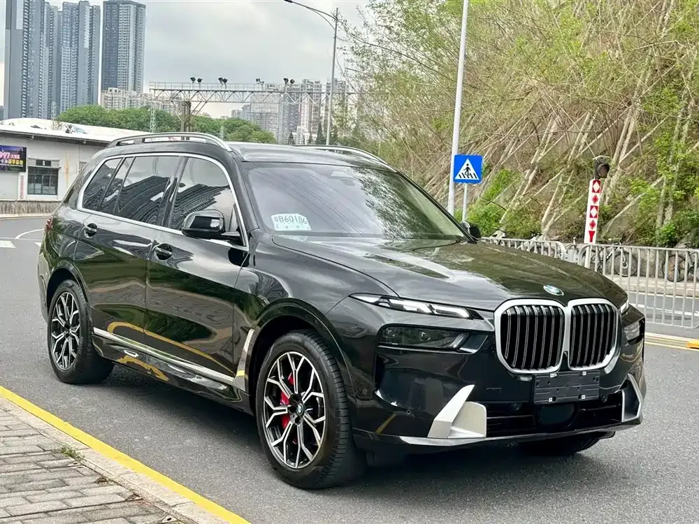BMW X7 — фото 9