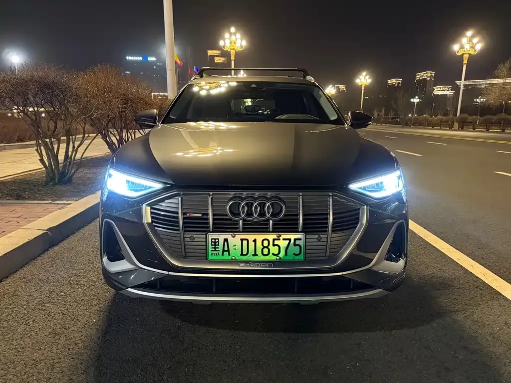 Audi e-tron — фото 1