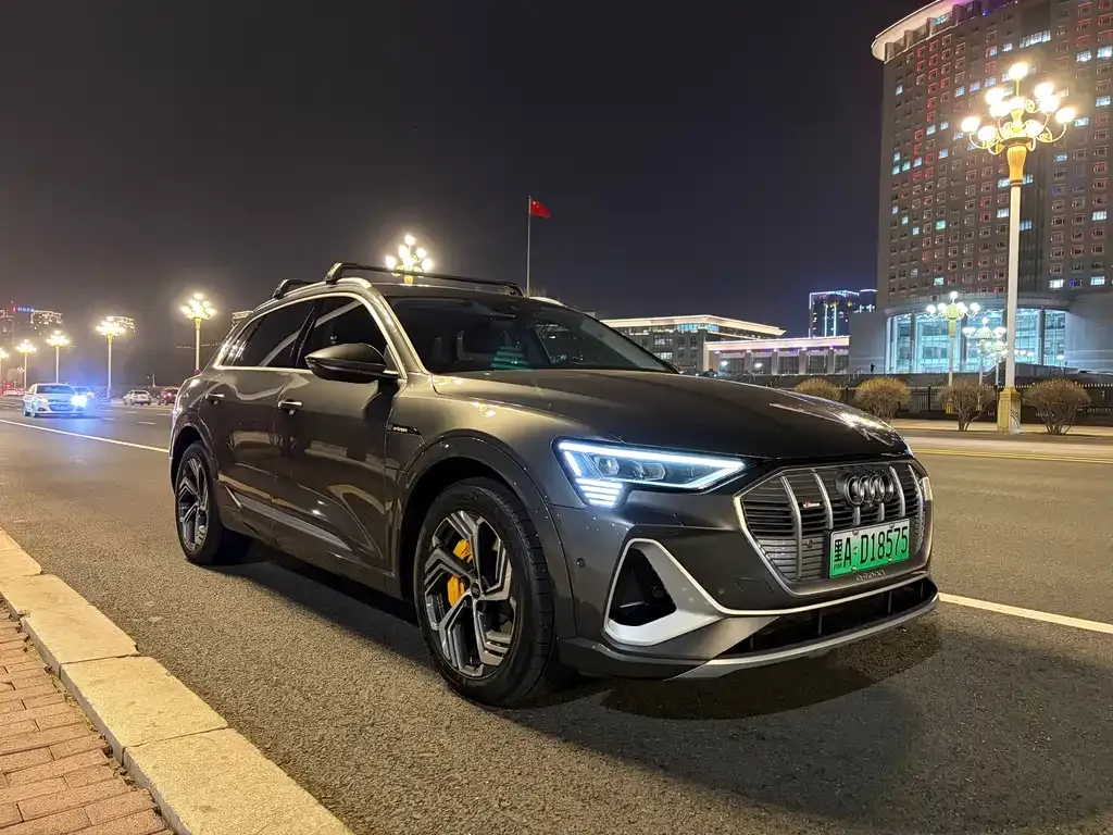 Audi e-tron — фото 4