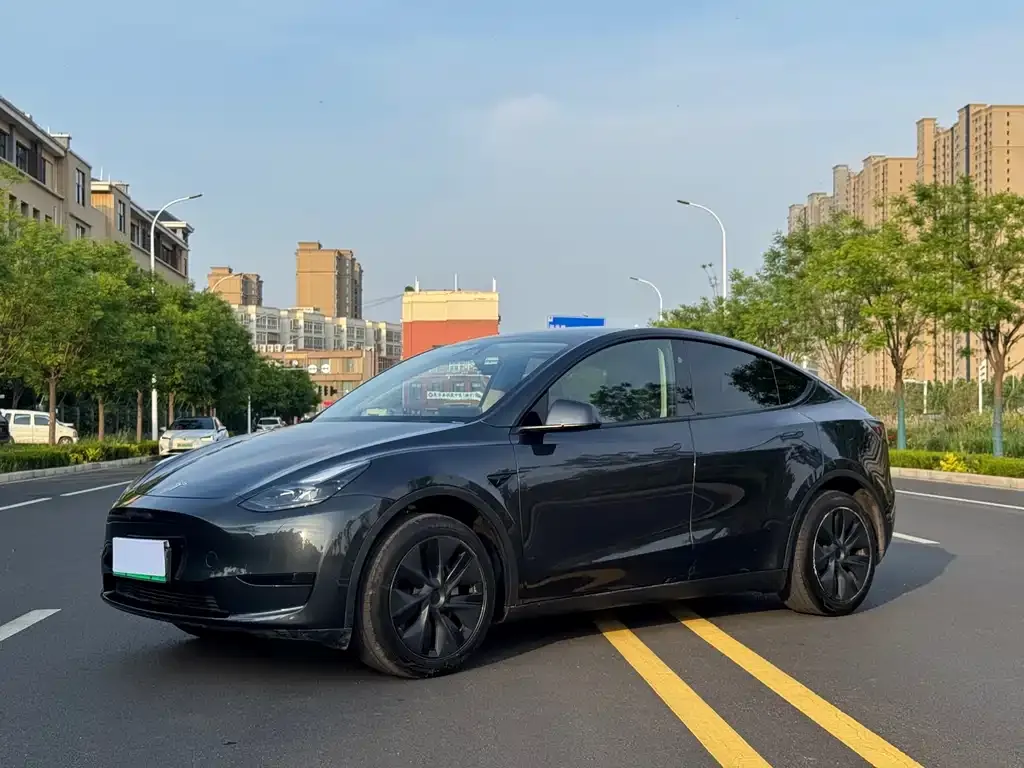 Tesla Model Y — фото 1