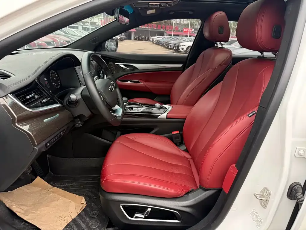 Geely Borui — фото 2