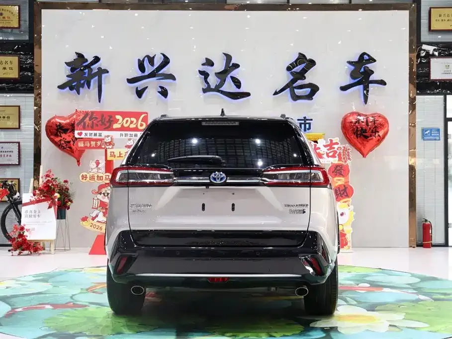 Toyota Wildlander New Energy — фото 8