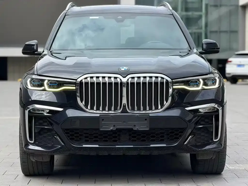 BMW X7 — фото 7