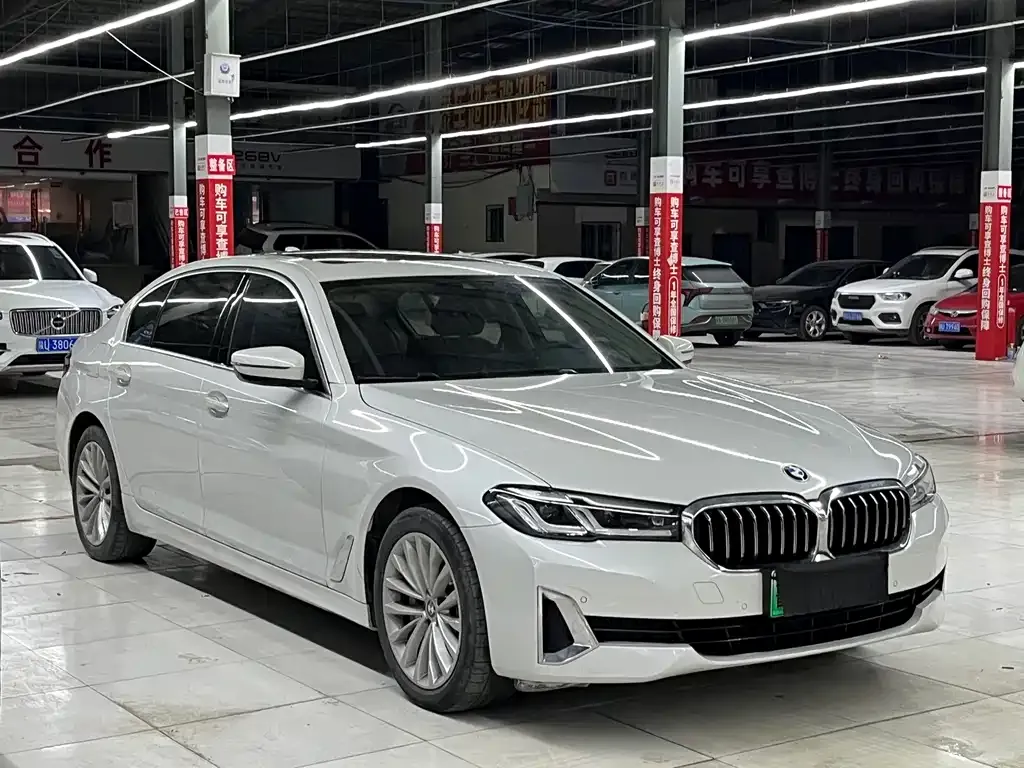 BMW 5 Series New Energy — фото 2