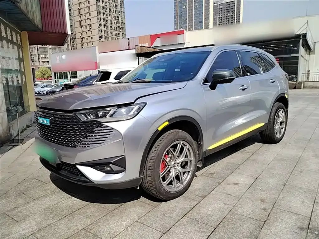 Haval H6 New Energy — фото 1